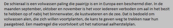 Schieraal uitleg