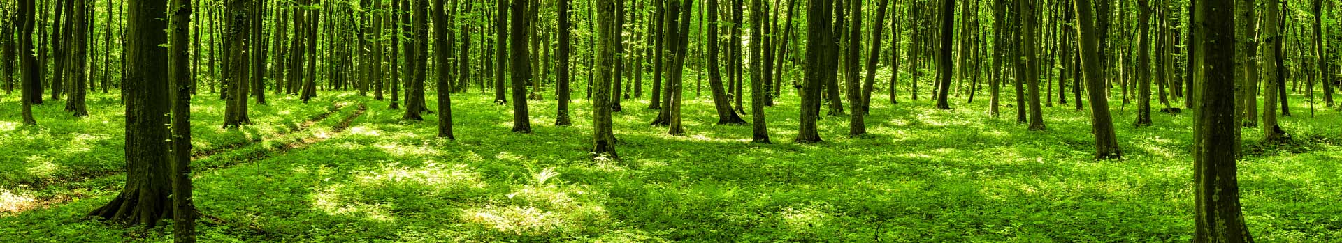 Landingspagina-Wet-Natuurbescherming
