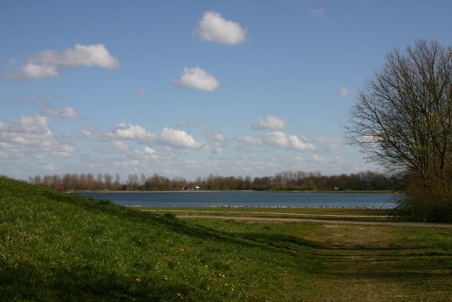 Zwemplas