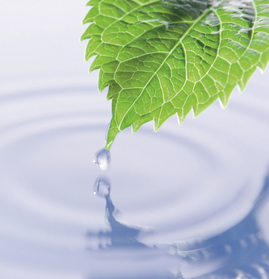 Water met blad 